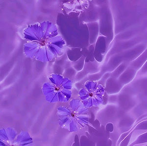 Meet your Posher, Angi